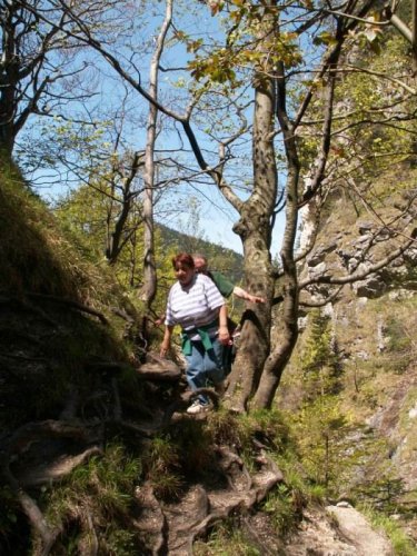 Malá Fatra - 22.5.2005